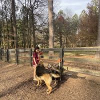 Waggy World Paw Park ico