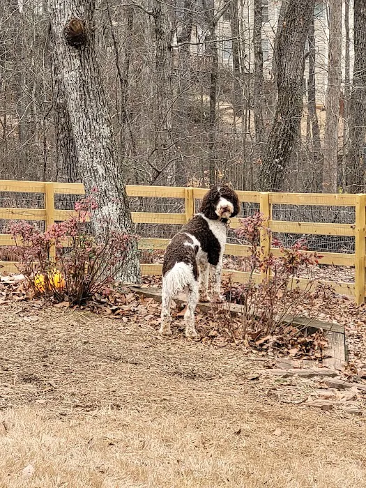 Dog Park at Leita Thompson 7
