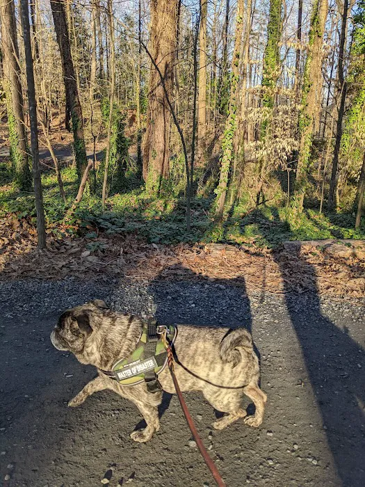 Dog Park at Leita Thompson 9