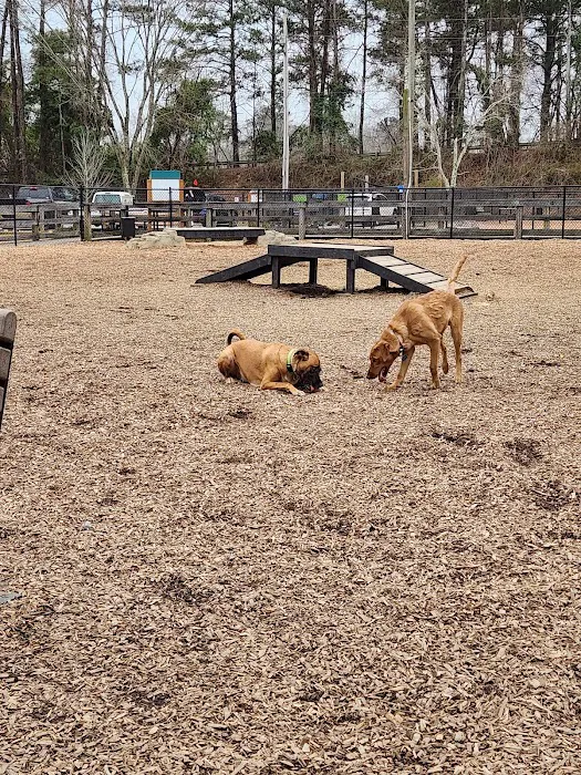 Woofstock Dog Park 10