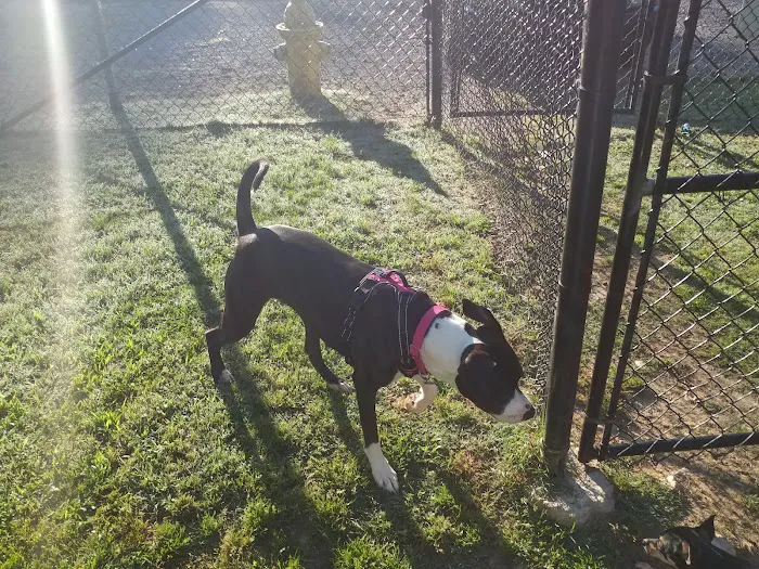 Canton Paw Park 6