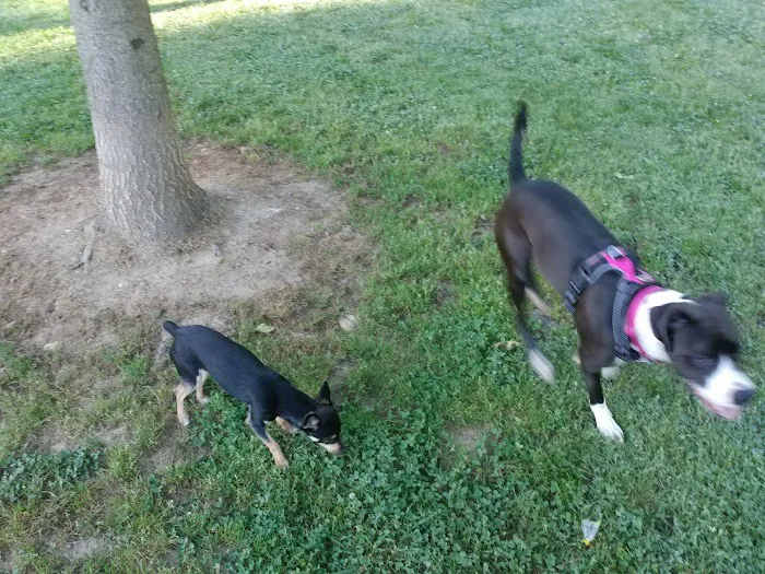 Canton Paw Park 7