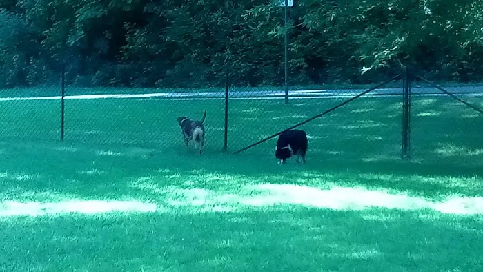 Canton Paw Park 2