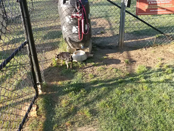 Canton Paw Park 8