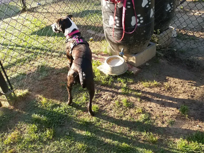 Canton Paw Park 10
