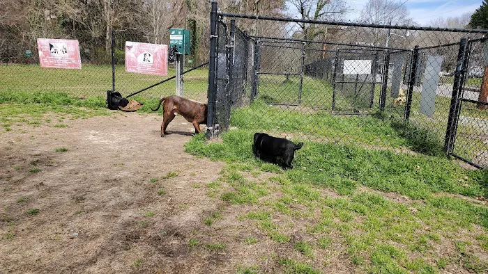 Canton Paw Park 4