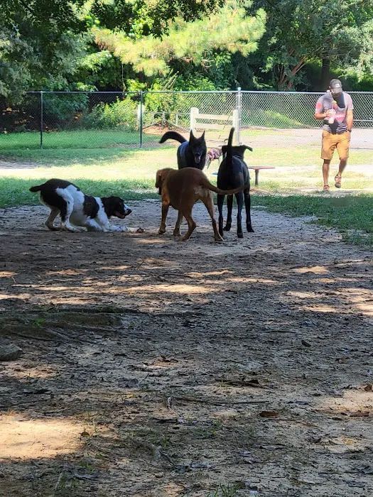 Pitner Road Dog Park 5