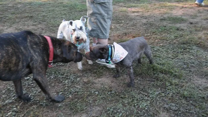Pitner Road Dog Park 7