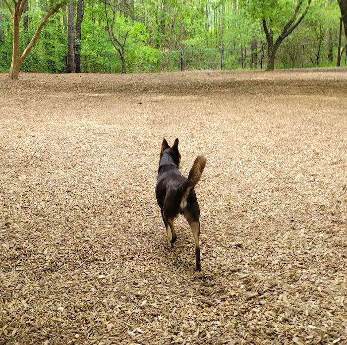 Pitner Road Dog Park 10