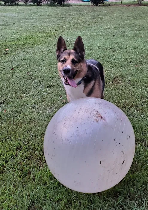 Pitner Road Dog Park 8