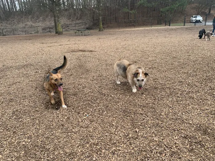 Pitner Road Dog Park 4