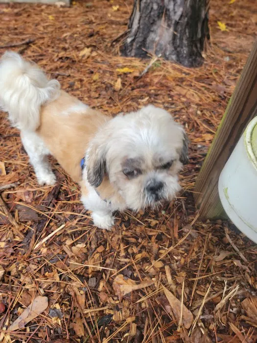 Peachtree City Dog Park 2