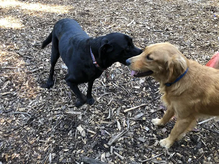 Peachtree City Dog Park 1