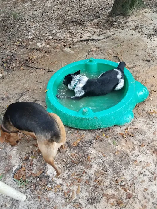 Peachtree City Dog Park 7