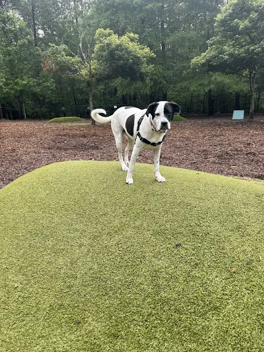Peachtree City Dog Park 8
