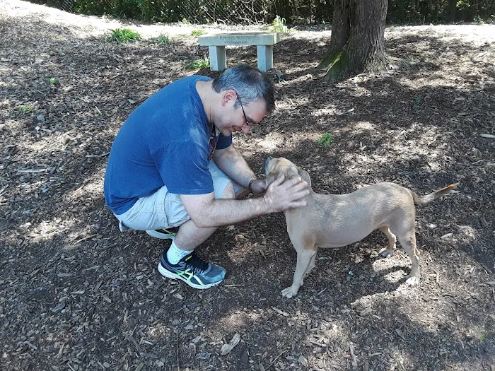 Peachtree City Dog Park 10