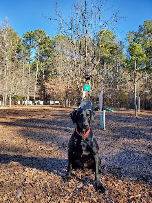 Peachtree City Dog Park 9
