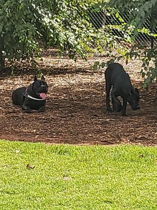 Sprayberry Rd Dog park 6