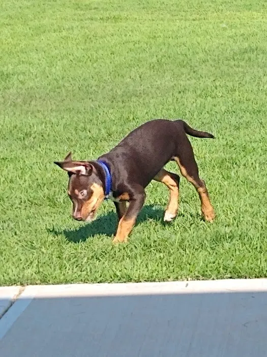 Sprayberry Rd Dog park 8