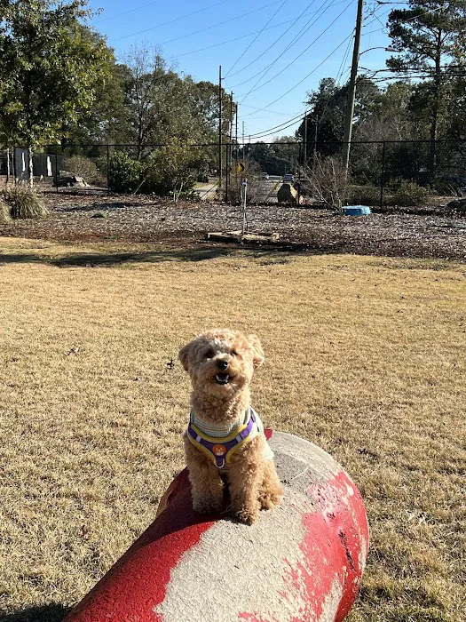 Sprayberry Rd Dog park 10