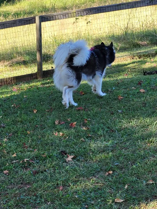 Carver Road Dog Park 3