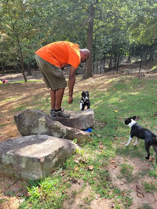 Dallas Dog Park 4