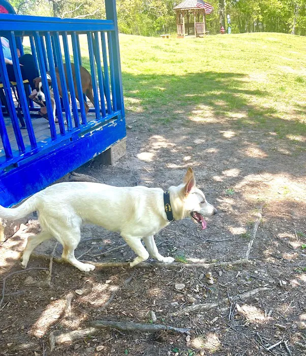 Dallas Dog Park 5