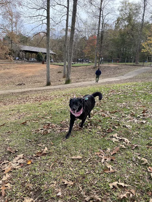 Dallas Dog Park 6
