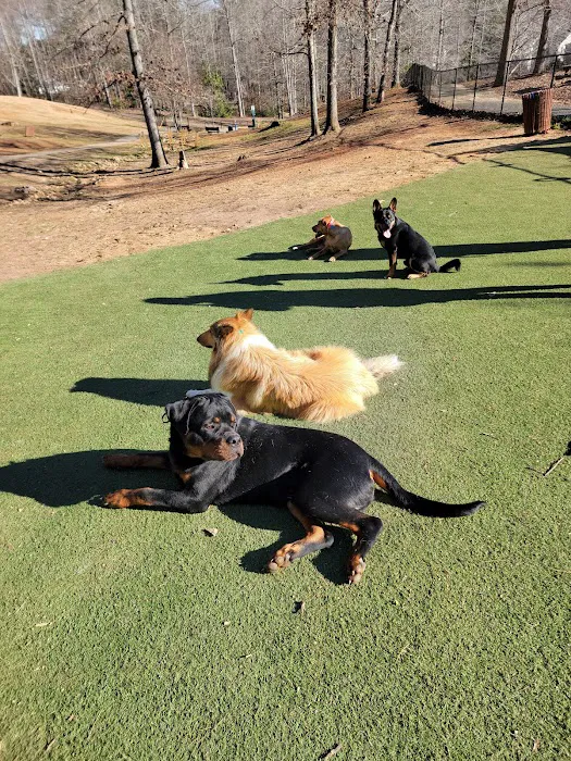 Dallas Dog Park 8