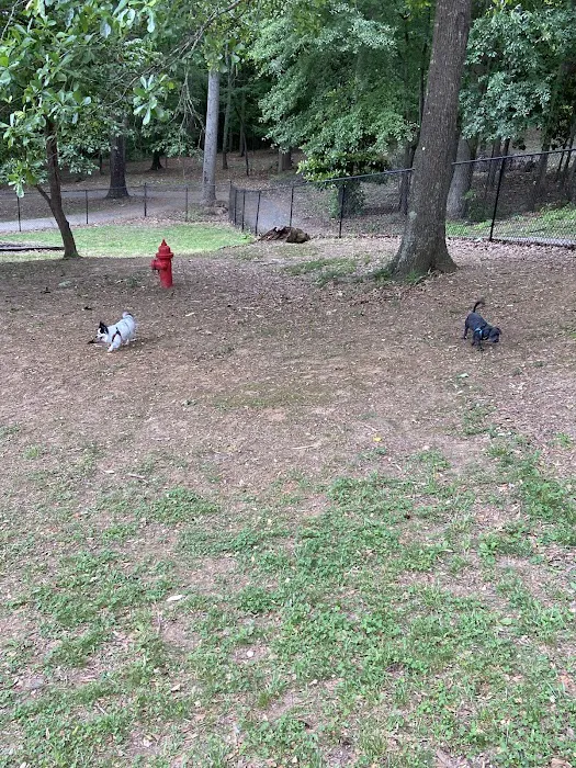 Dallas Dog Park 9