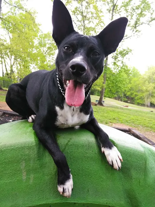 Dallas Dog Park 2