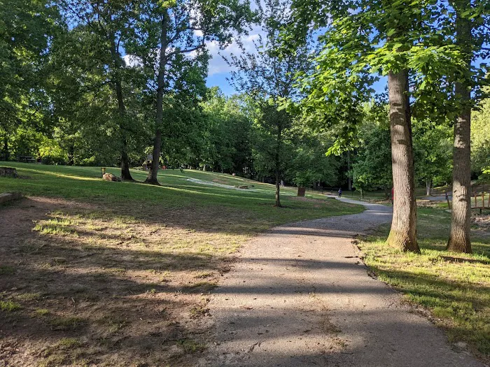 Dog Woods at Coleman Camp Park 5