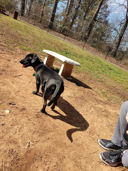 Dog Woods at Coleman Camp Park 8
