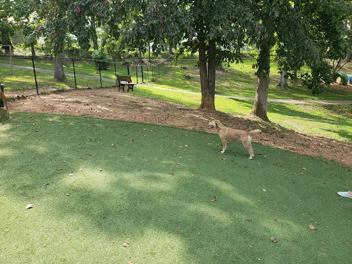 Dog Woods at Coleman Camp Park 10