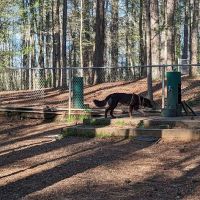 Fowler Dog Park ico