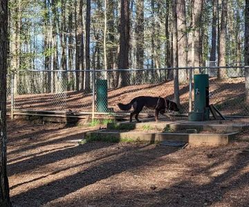 Fowler Dog Park
