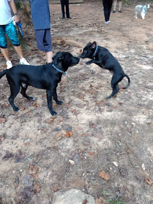 Fowler Dog Park 9