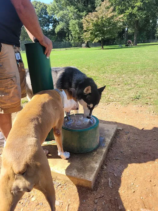 Bartow County Dog Park 1
