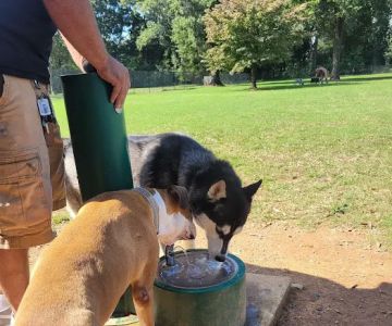 Bartow County Dog Park