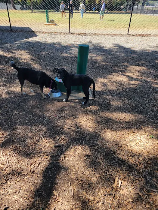 Bartow County Dog Park 8