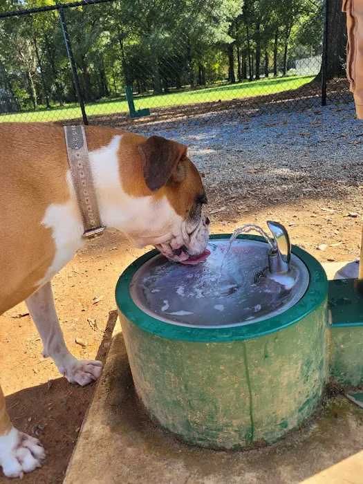 Bartow County Dog Park 6