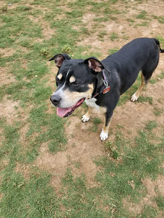 Rock Springs Park Dog Park 8
