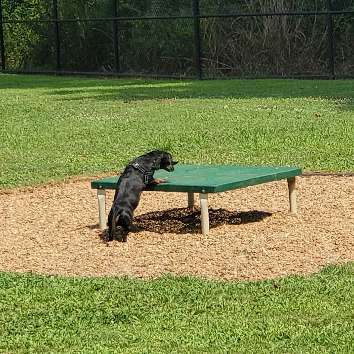 Rock Springs Park Dog Park 6