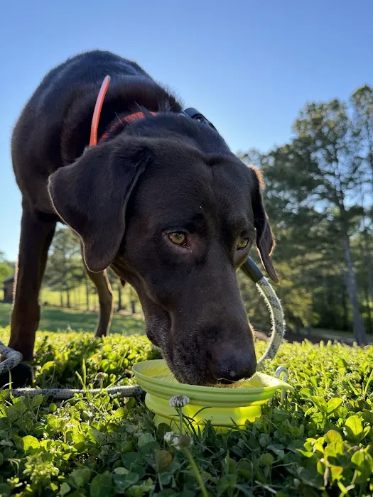 Cherokee Bluffs Dog Park 2