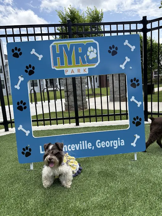 HYRO - Urban Dog Park 9