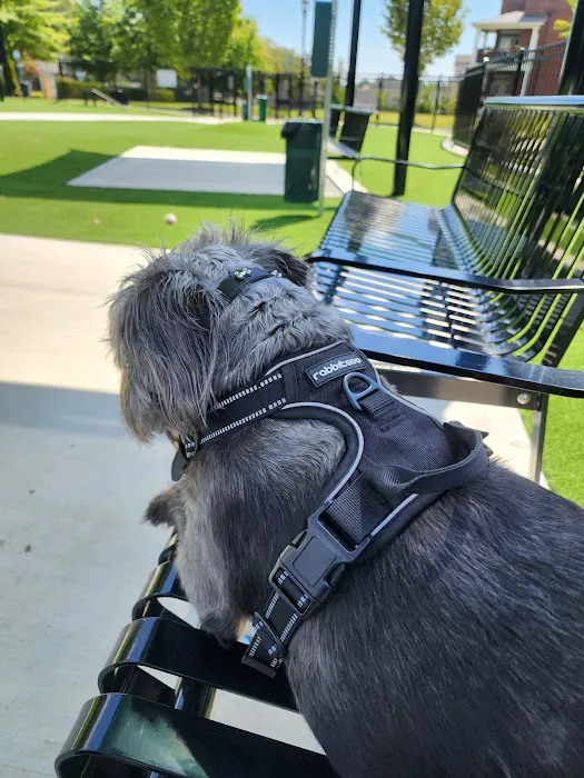 HYRO - Urban Dog Park 8