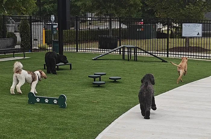 HYRO - Urban Dog Park 1