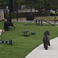 HYRO - Urban Dog Park ico