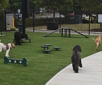 HYRO - Urban Dog Park