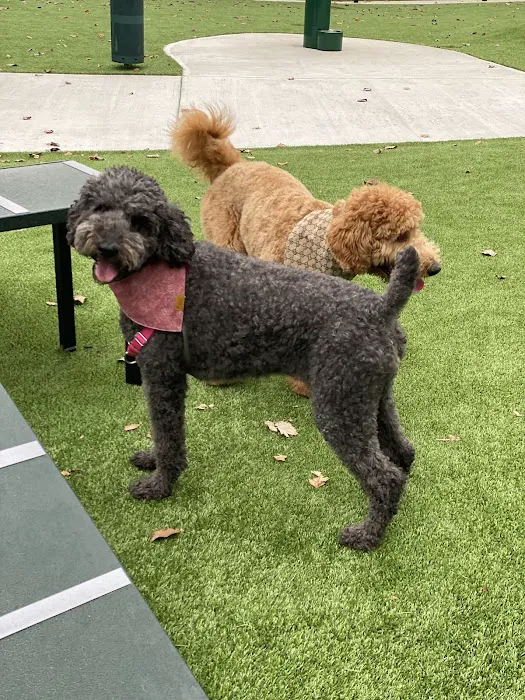 HYRO - Urban Dog Park 4